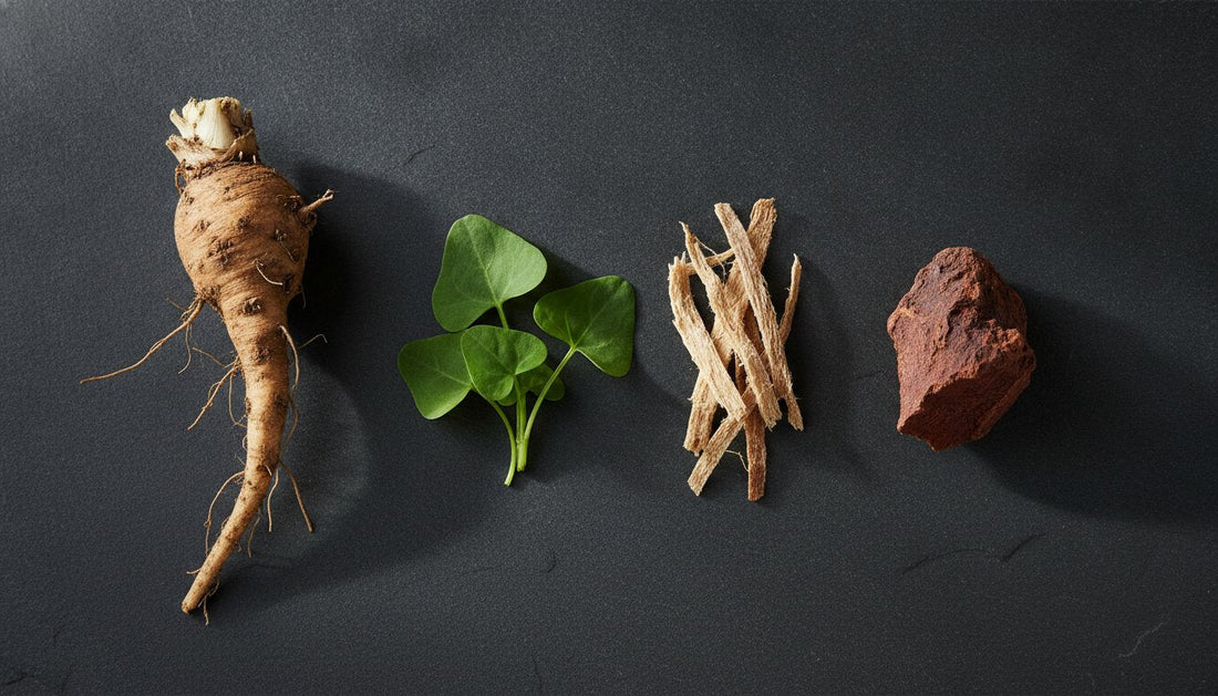 What Are the Four Ingredients in Essiac Tea?