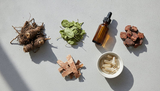 What Is Authentic ESSIAC®? A Buyer’s Guide